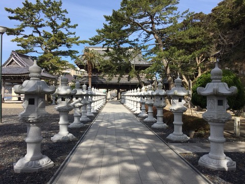 誕生８００年祭が間近の「誕生寺」。絢爛豪華な仏教世界と美味しい鯛せんべいでパワー注入！？