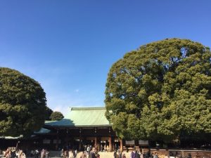 初詣の賑わい日本一の神社は時期ズレがおすすめ？スピリチュアルな木々たちから今年の運気をいただく。「明治神宮」を歩く。