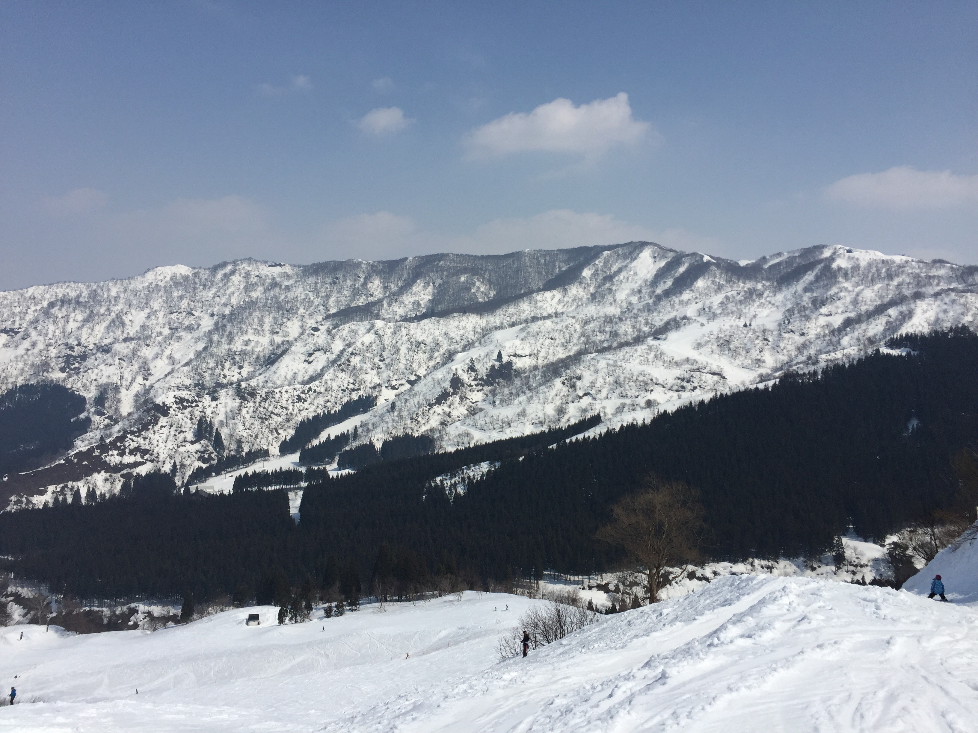 春先に今シーズン最初で最後のスキー旅行。なんとかは高いところが好き？マイコさんも大満足の新潟越後湯沢「舞子スノーリゾート」に行く。