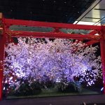 日本ではじめて鉄道が走った区間を歩く旅！ちょっと寄り道、羽田空港国際線ターミナルへ