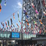 東京スカイツリー直下のアクアリウム「すみだ水族館」。チンアナゴや江戸リウムなど見所満載！ペンギンたちに名前がついている理由とは？