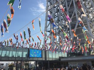 東京スカイツリー直下のアクアリウム「すみだ水族館」。チンアナゴや江戸リウムなど見所満載！ペンギンたちに名前がついている理由とは？