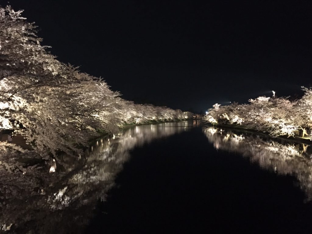 弘前さくらまつり【夜桜】水面を彩る幻想的な桜色の煌めき