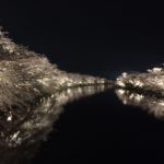弘前さくらまつり【夜桜】水面を彩る幻想的な桜色の煌めき