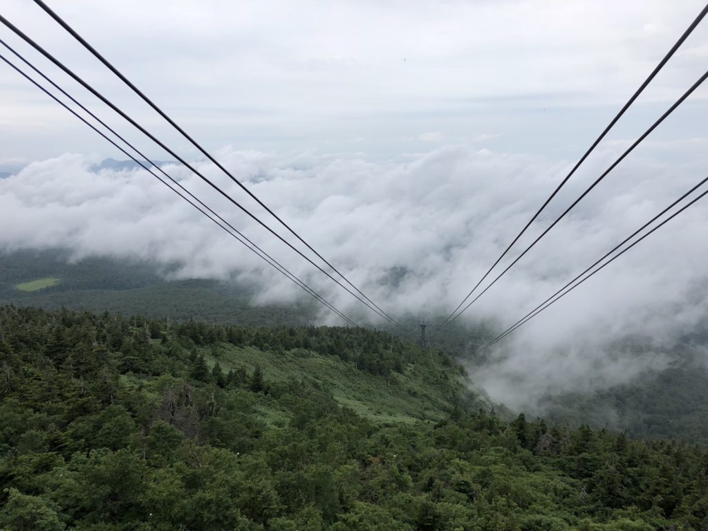 自然の豊かさと厳しさを体感！八甲田ロープウェーで山頂を散策