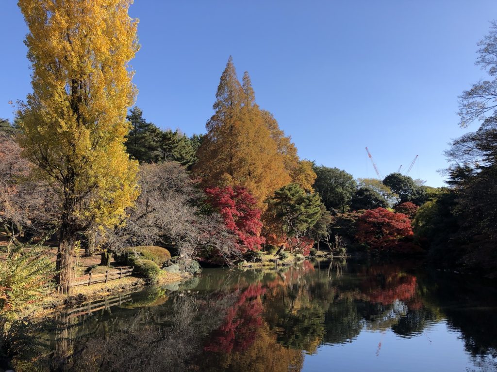 新宿御苑　いつも訪れる晩秋の紅葉散歩