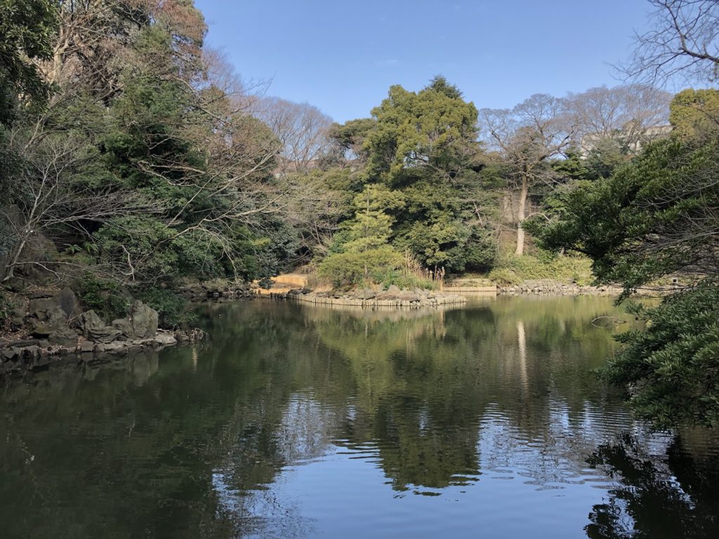 赤門に鉄門、三四郎池…東京大学本郷キャンパスぶら歩き
