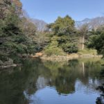 赤門に鉄門、三四郎池…東京大学本郷キャンパスぶら歩き