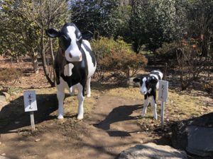 続・長野善光寺　真田家に徳川大奥、善子さんと光子さん…