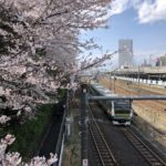 江戸屈指の桜の名所「飛鳥山」桜の公園ぶら歩き