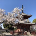 続・小江戸川越ぶら歩き　川越城跡から喜多院、利き酒も！