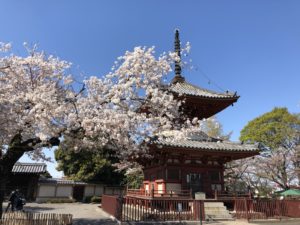 続・小江戸川越ぶら歩き　川越城跡から喜多院、利き酒も！