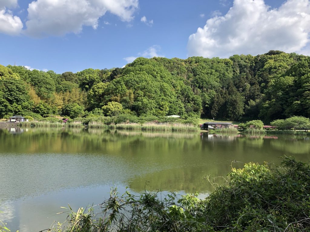 城ぶら「韮山城」！北条早雲の夢、戦国のはじまりと終わりを告げる城