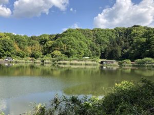 城ぶら「韮山城」！北条早雲の夢、戦国のはじまりと終わりを告げる城