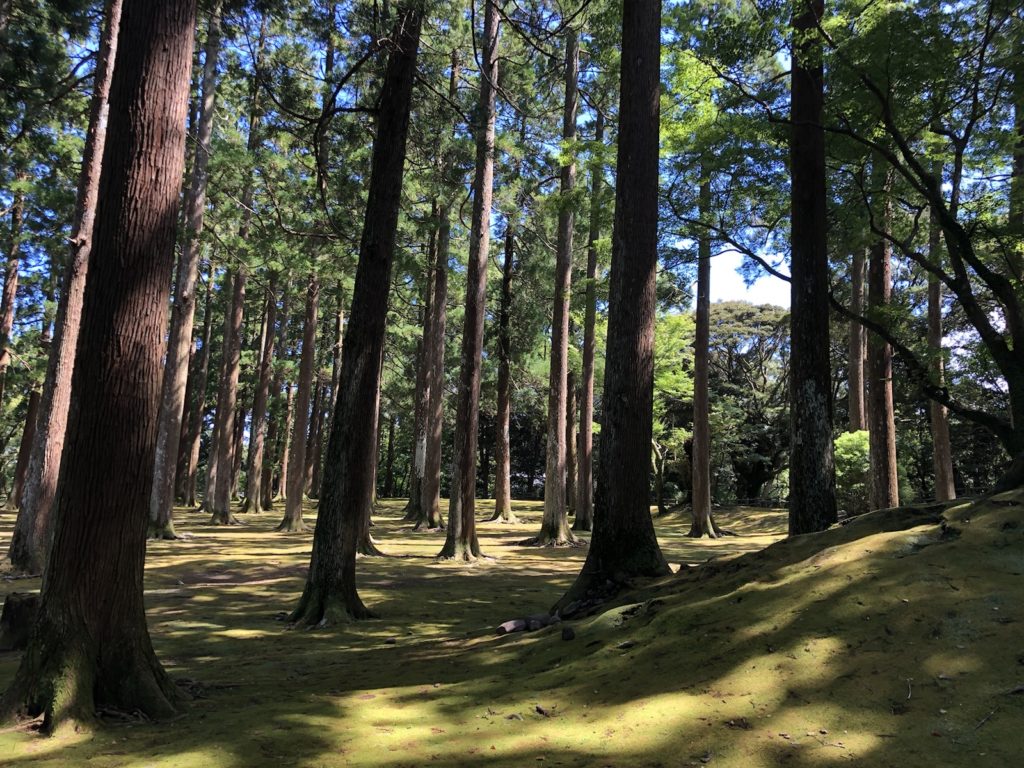 城ぶら「飫肥城」！島津・伊東の因縁を鎮める飫肥杉の木立