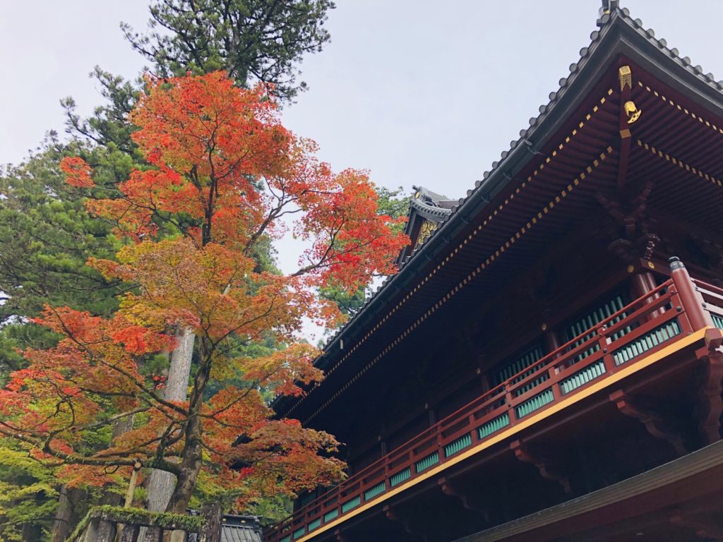 世界遺産「日光の社寺」！神橋から輪王寺へぶらり散策