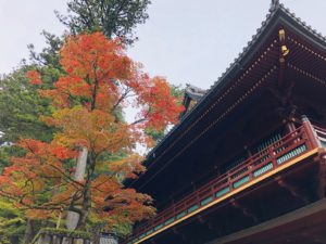 世界遺産「日光の社寺」!神橋から輪王寺へぶらり散策