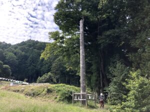 神秘のパワー充填！諏訪大社・二社四宮、神域を護る御柱めぐり