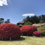 日本三名園の一つ、水戸「偕楽園」！四季をともに楽しむ名園
