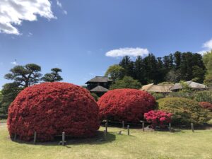 日本三名園の一つ、水戸「偕楽園」!四季をともに楽しむ名園