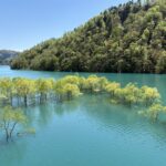 わずか1カ月だけ現れる「瑠璃色の奇跡」。秋田の秘境・秋扇湖に浮かぶ神秘の「水没林」
